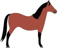 File:Horse-standard-bay.png