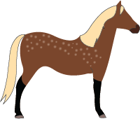 File:Horse-silver-dapple.png
