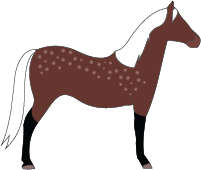 File:Horse-chocolate-silver (2).png