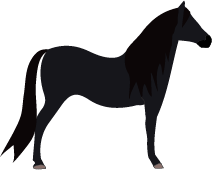 File:Horse-sss.png