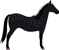File:Horse-midnight-mare (2).png