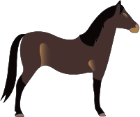 File:Horse-brown.png