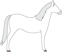 File:Horse-white-grey.png