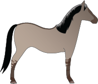 File:Horse-silver-dun.png