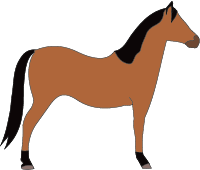 File:Horse-wild-bay.png