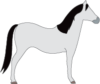 File:Horse-grey.png