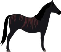 File:Horse-aquitanian-brindle.png