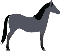 File:Horse-iron-grey.png