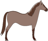 File:Horse-liver-dun.png