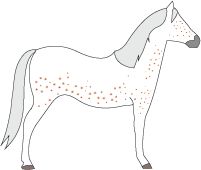 File:Horse-fleabitten-grey.png