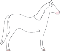 File:Horse-albino.png