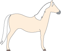 File:Horse-palomino.png