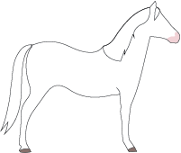 File:Horse-dominant-white.png