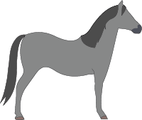 File:Horse-medium-grey.png
