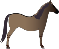 File:Horse-olive-dun.png