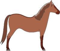 File:Horse-bronze-dun.png