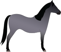 File:Horse-black-roan.png