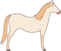 File:Horse-perlino.png