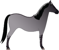 File:Horse-black-dun.png