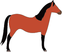 File:Horse-copper-bay.png