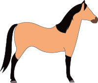 File:Horse-gold-bay.png