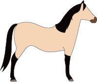 File:Horse-buckskin-dun.png