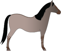 File:Horse-brown-dun.png