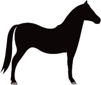 File:Horse-true-black.png
