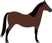 File:Horse-dark-bay.png