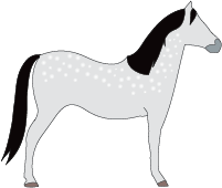 File:Horse-dapple-grey.png