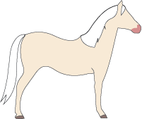 File:Horse-cremello.png
