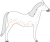 Horse-fleabitten-grey.png